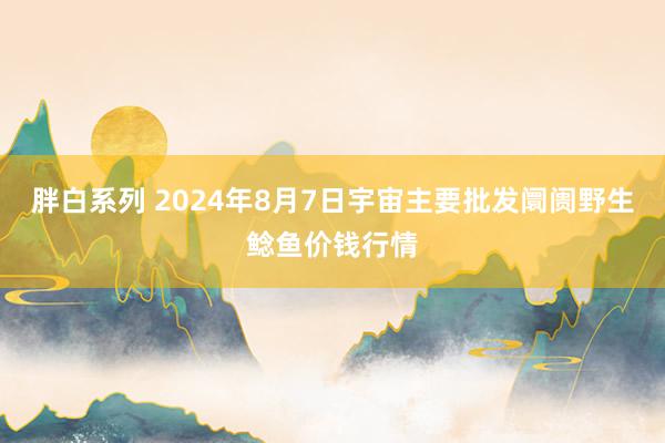 胖白系列 2024年8月7日宇宙主要批发阛阓野生鲶鱼价钱行情