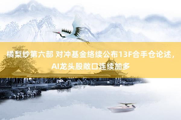 橘梨纱第六部 对冲基金络续公布13F合手仓论述，AI龙头股敞口连续加多