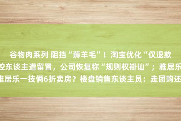 谷物肉系列 阻挡“薅羊毛”！淘宝优化“仅退款”；“老匹夫”药房实控东谈主遭留置，公司恢复称“规则权褂讪”；雅居乐一技俩6折卖房？楼盘销售东谈主员：走团购还能更低丨大公司动态