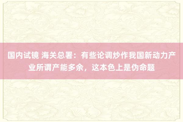 国内试镜 海关总署：有些论调炒作我国新动力产业所谓产能多余，这本色上是伪命题