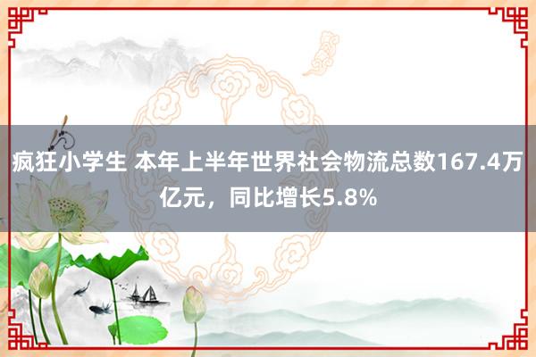 疯狂小学生 本年上半年世界社会物流总数167.4万亿元，同比增长5.8%