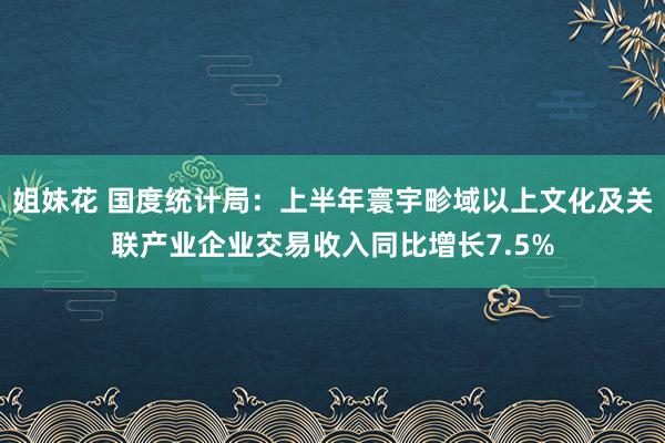 姐妹花 国度统计局：上半年寰宇畛域以上文化及关联产业企业交易收入同比增长7.5%