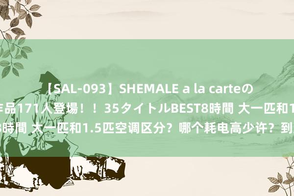 【SAL-093】SHEMALE a la carteの歴史 2008～2011 国内作品171人登場！！35タイトルBEST8時間 大一匹和1.5匹空调区分？哪个耗电高少许？到底怎么样更好