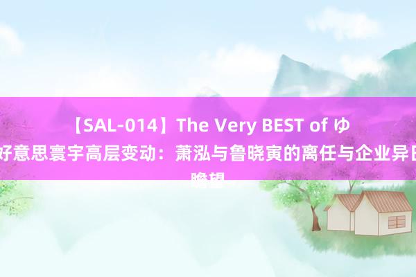 【SAL-014】The Very BEST of ゆか 完好意思寰宇高层变动：萧泓与鲁晓寅的离任与企业异日瞻望