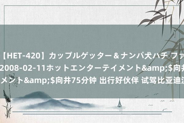 【HET-420】カップルゲッター＆ナンパ犬ハチ ファイト一発</a>2008-02-11ホットエンターテイメント&$向井75分钟 出行好伙伴 试驾比亚迪汉DM-i荣耀版