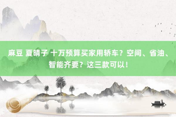 麻豆 夏晴子 十万预算买家用轿车？空间、省油、智能齐要？这三款可以！