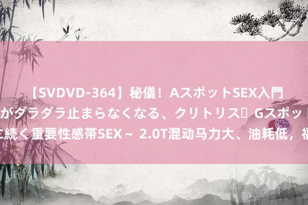 【SVDVD-364】秘儀！AスポットSEX入門 ～刺激した瞬間から愛液がダラダラ止まらなくなる、クリトリス・Gスポットに続く重要性感帯SEX～ 2.0T混动马力大、油耗低，福特蒙迪欧畅通版很野很实用