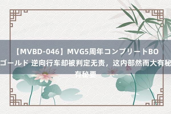 【MVBD-046】MVG5周年コンプリートBOX ゴールド 逆向行车却被判定无责，这内部然而大有秘要