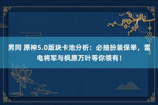 男同 原神5.0版块卡池分析：必抽扮装保举，雷电将军与枫原万叶等你领有！