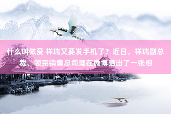 什么叫做爱 祥瑞又要发手机了？近日，祥瑞副总裁、领克销售总司理在微博晒出了一张相