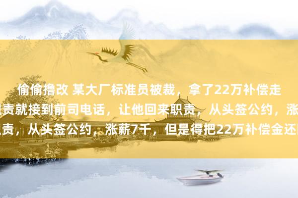 偷偷撸改 某大厂标准员被裁，拿了22万补偿走东说念主，刚找到新职责就接到前司电话，让他回来职责，从头签公约，涨薪7千，但是得把22万补偿金还回来