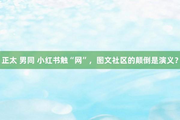 正太 男同 小红书触“网”，图文社区的颠倒是演义？