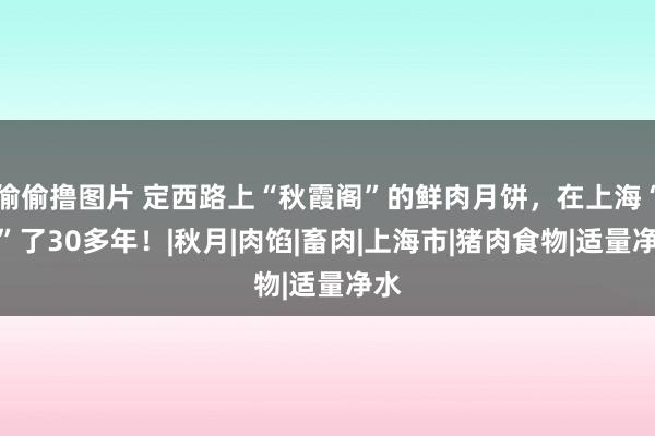 偷偷撸图片 定西路上“秋霞阁”的鲜肉月饼，在上海“鲜”了30多年！|秋月|肉馅|畜肉|上海市|猪肉食物|适量净水