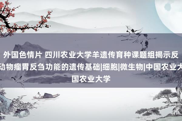 外国色情片 四川农业大学羊遗传育种课题组揭示反刍动物瘤胃反刍功能的遗传基础|细胞|微生物|中国农业大学