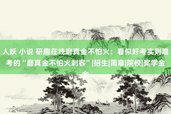 人妖 小说 研趣在线磨真金不怕火：看似好考实则难考的“磨真金不怕火刺客”|招生|简章|院校|奖学金