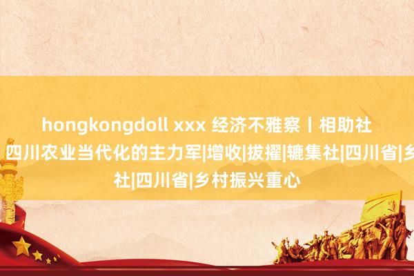 hongkongdoll xxx 经济不雅察丨相助社+家庭农场：四川农业当代化的主力军|增收|拔擢|辘集社|四川省|乡村振兴重心