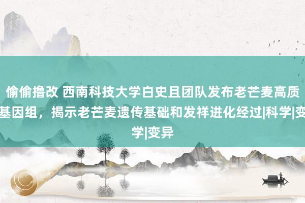 偷偷撸改 西南科技大学白史且团队发布老芒麦高质地基因组，揭示老芒麦遗传基础和发祥进化经过|科学|变异