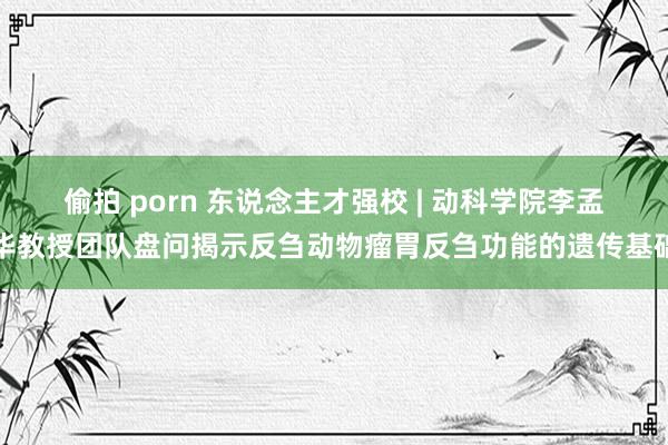 偷拍 porn 东说念主才强校 | 动科学院李孟华教授团队盘问揭示反刍动物瘤胃反刍功能的遗传基础